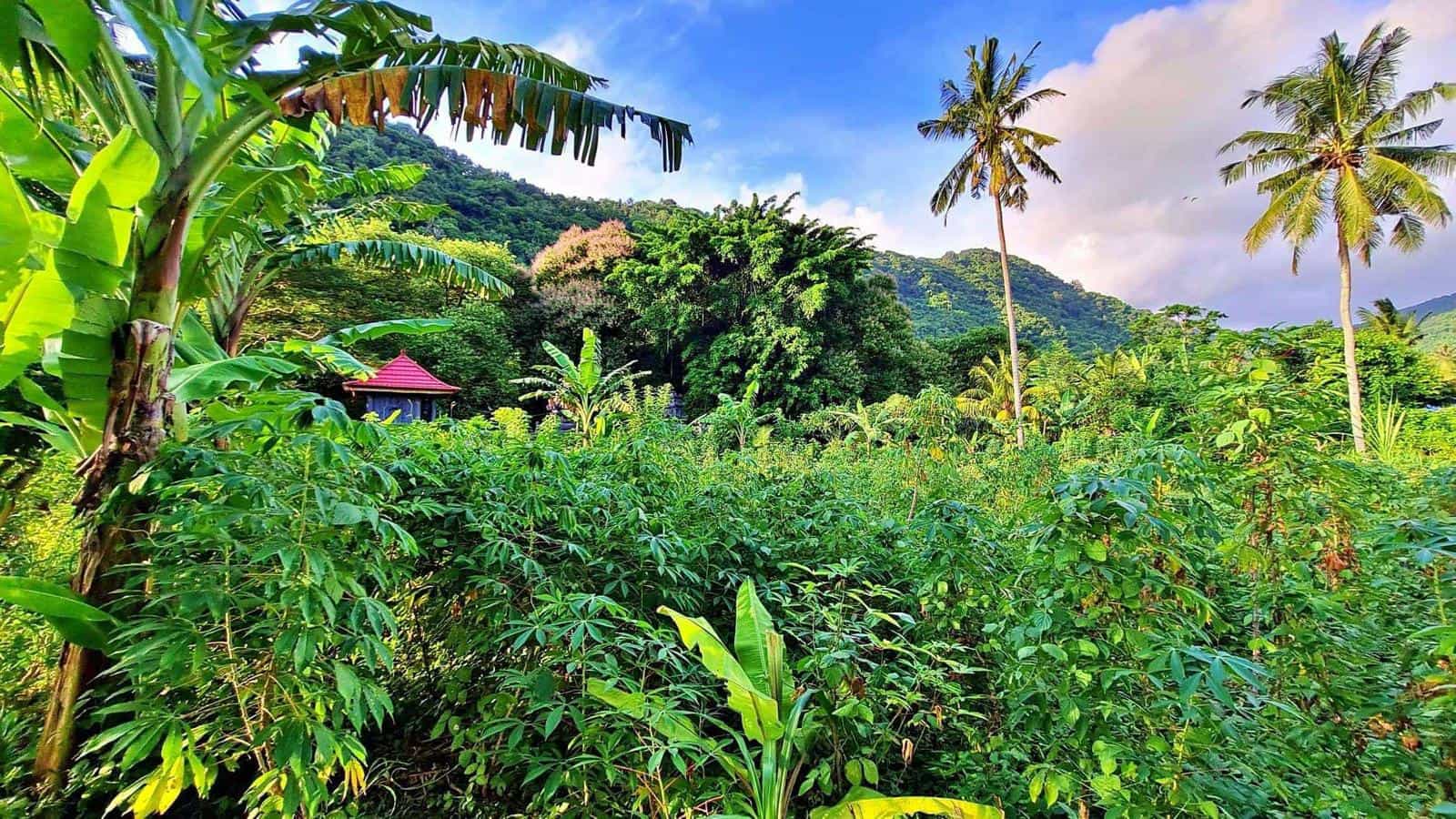 Land for sale Kerandangan Senggigi