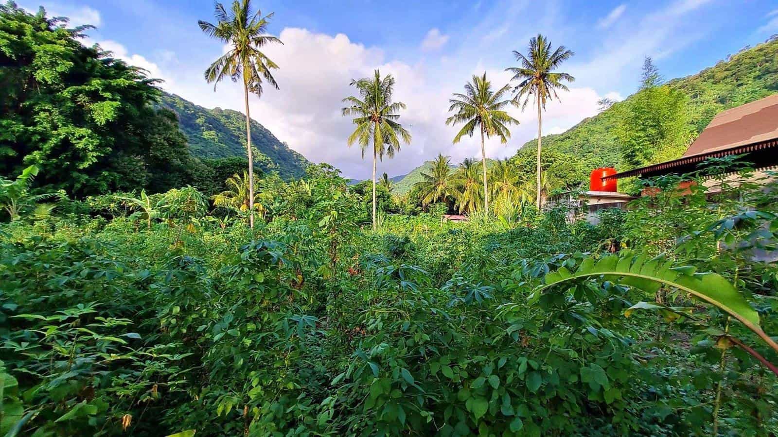 Land for sale Kerandangan Senggigi