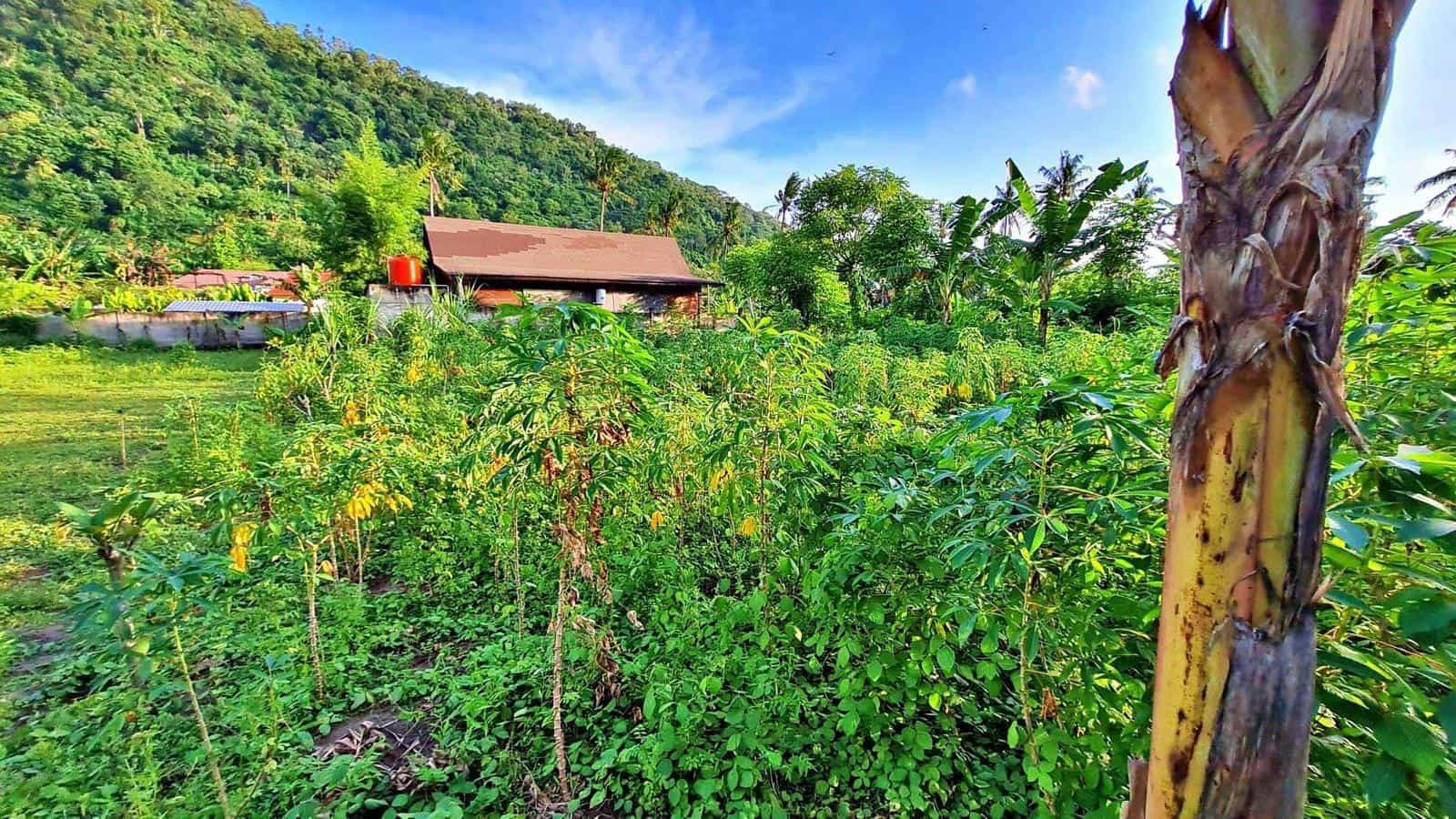 Land for sale Kerandangan Senggigi