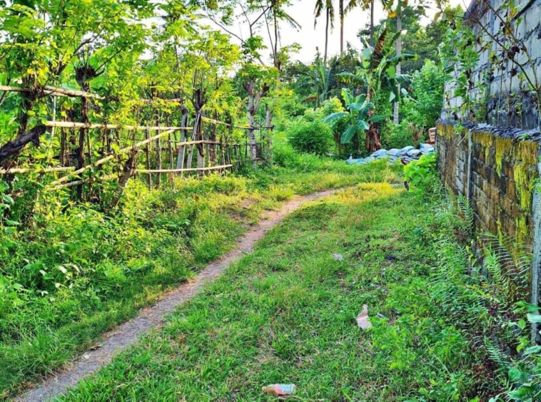 Land for sale Kerandangan Senggigi